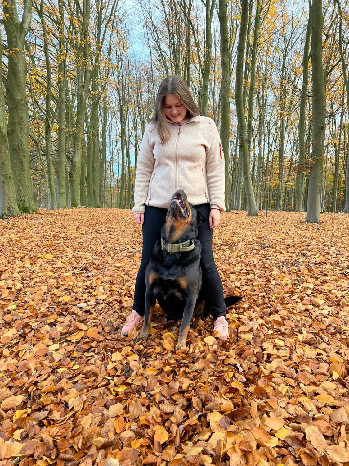 Hundebetreuung von Nina Wiechers